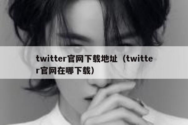 twitter官网下载地址（twitter官网在哪下载） 第1张