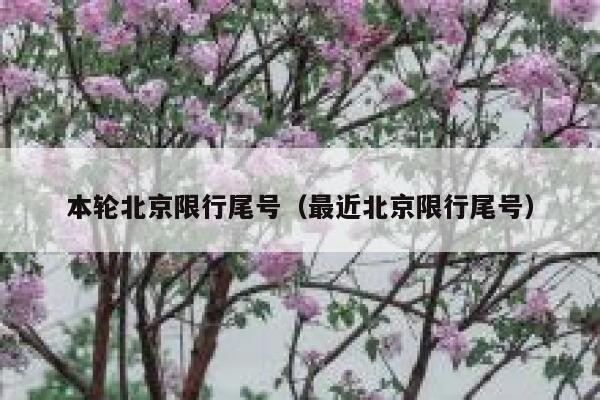 本轮北京限行尾号（最近北京限行尾号） 第1张