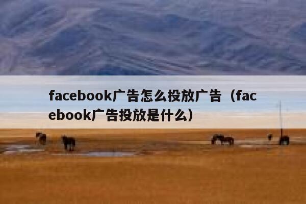 facebook广告怎么投放广告（facebook广告投放是什么） 第1张