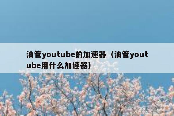 油管youtube的加速器（油管youtube用什么加速器） 第1张