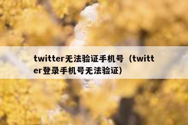 twitter无法验证手机号（twitter登录手机号无法验证） 第1张