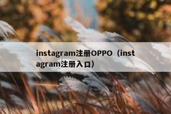 instagram注册OPPO（instagram注册入口） 第1张