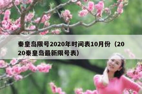 秦皇岛限号2020年时间表10月份（2020秦皇岛最新限号表） 第1张