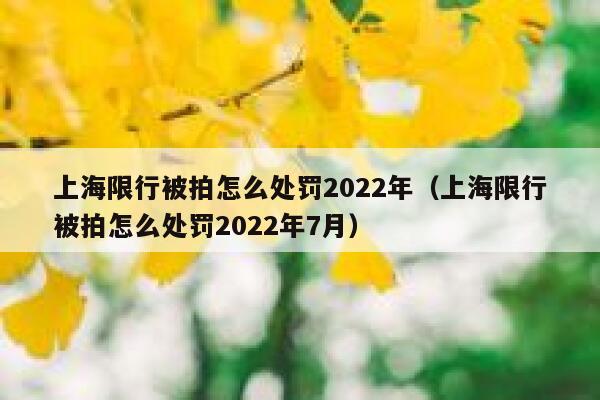 上海限行被拍怎么处罚2022年（上海限行被拍怎么处罚2022年7月） 第1张