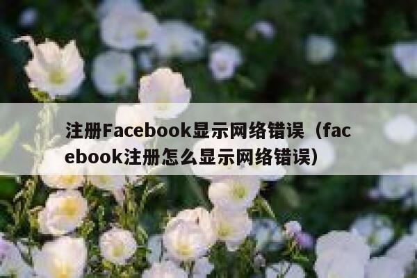 注册Facebook显示网络错误（facebook注册怎么显示网络错误） 第1张