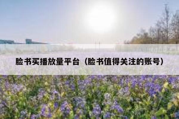 脸书买播放量平台（脸书值得关注的账号） 第1张