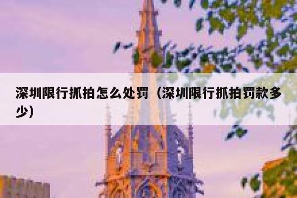 深圳限行抓拍怎么处罚（深圳限行抓拍罚款多少） 第1张
