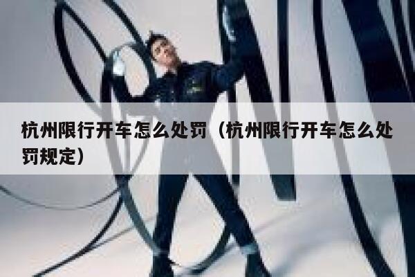 杭州限行开车怎么处罚（杭州限行开车怎么处罚规定） 第1张