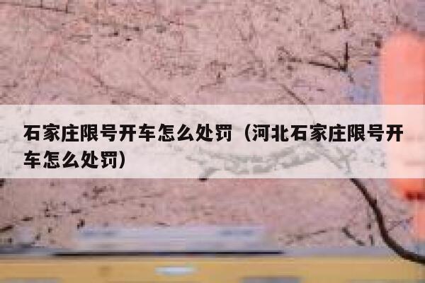 石家庄限号开车怎么处罚（河北石家庄限号开车怎么处罚） 第1张