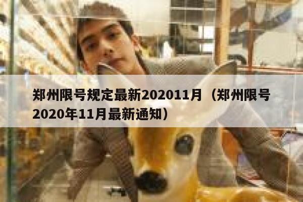 郑州限号规定最新202011月（郑州限号2020年11月最新通知） 第1张