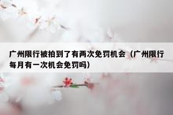 广州限行被拍到了有两次免罚机会（广州限行每月有一次机会免罚吗） 第1张