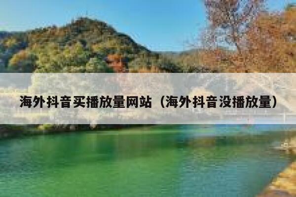 海外抖音买播放量网站（海外抖音没播放量） 第1张