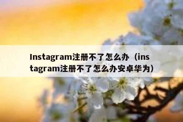 Instagram注册不了怎么办（instagram注册不了怎么办安卓华为） 第1张