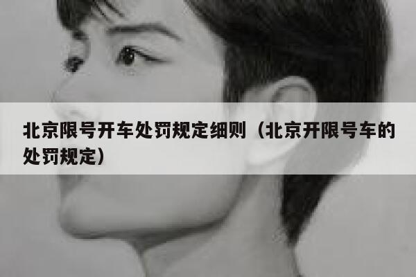 北京限号开车处罚规定细则（北京开限号车的处罚规定） 第1张
