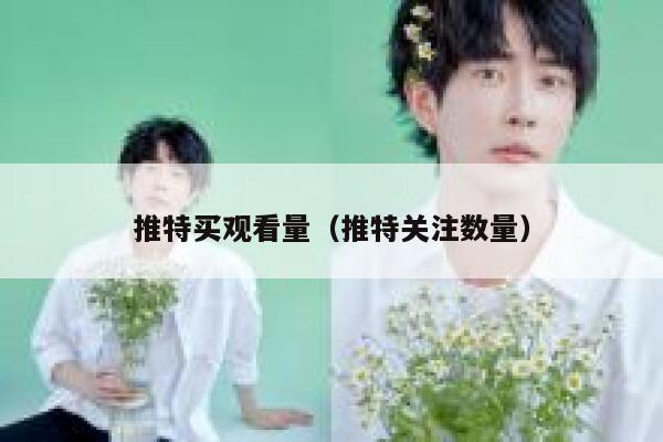 推特买观看量（推特关注数量） 第1张