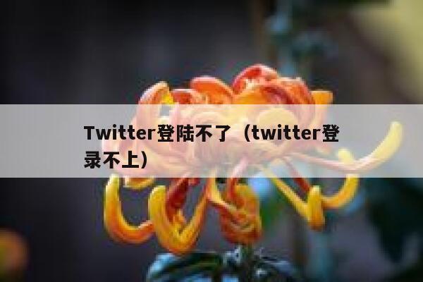 Twitter登陆不了（twitter登录不上） 第1张