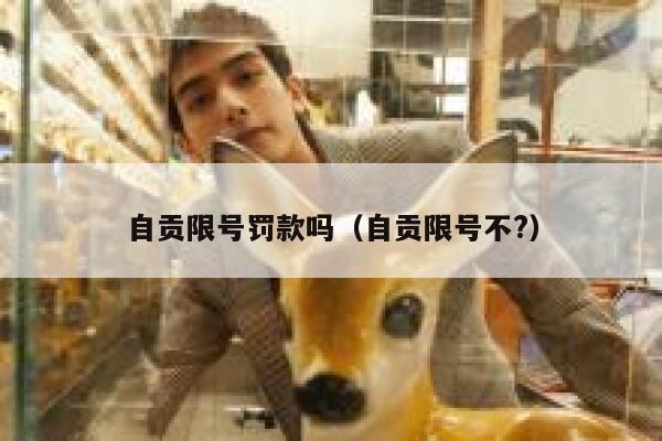 自贡限号罚款吗（自贡限号不?） 第1张
