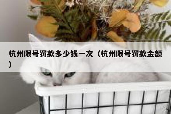 杭州限号罚款多少钱一次（杭州限号罚款金额） 第1张