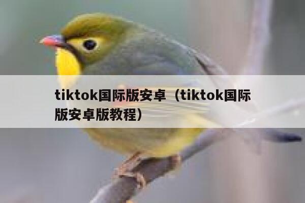 tiktok国际版安卓（tiktok国际版安卓版教程） 第1张