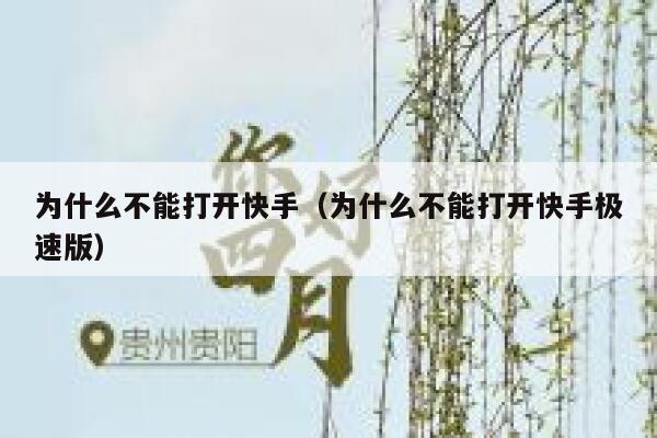 为什么不能打开快手（为什么不能打开快手极速版） 第1张