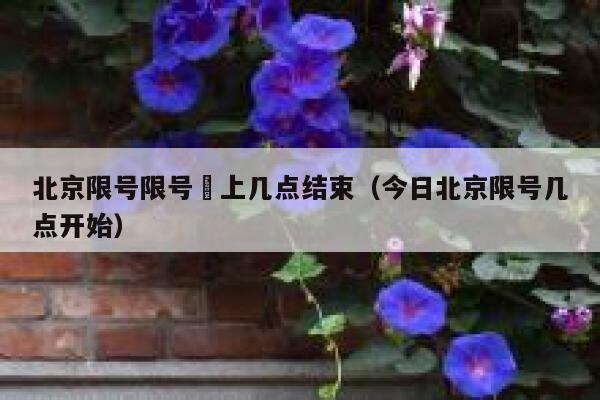 北京限号限号睌上几点结束（今日北京限号几点开始） 第1张