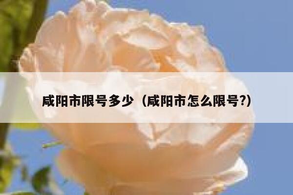 咸阳市限号多少（咸阳市怎么限号?） 第1张