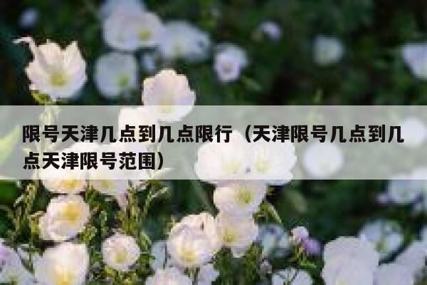 限号天津几点到几点限行（天津限号几点到几点天津限号范围） 第1张