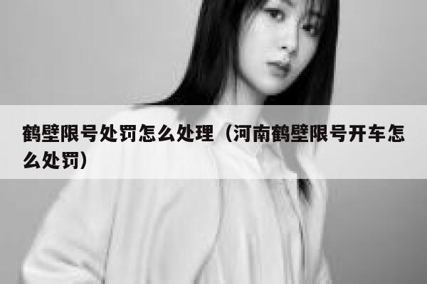 鹤壁限号处罚怎么处理（河南鹤壁限号开车怎么处罚） 第1张
