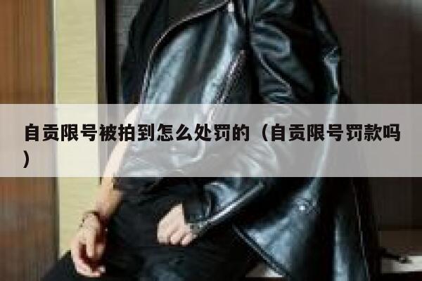 自贡限号被拍到怎么处罚的（自贡限号罚款吗） 第1张
