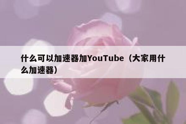 什么可以加速器加YouTube（大家用什么加速器） 第1张