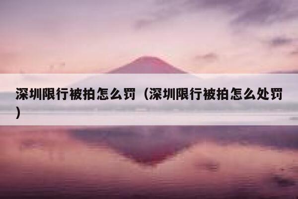 深圳限行被拍怎么罚(深圳限行被拍怎么处罚) 第1张 深圳限行被拍怎么罚(深圳限行被拍怎么处罚) 第1张