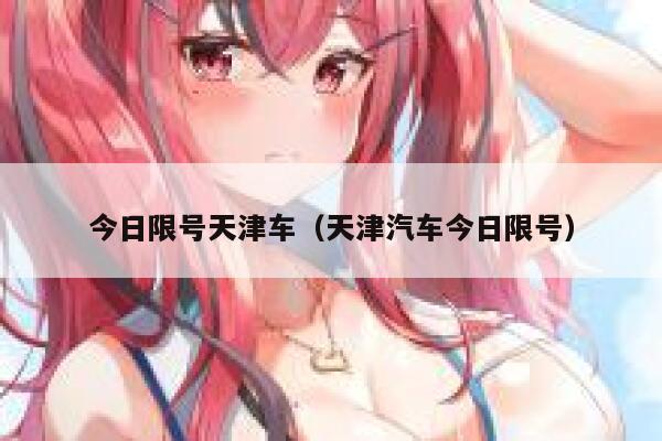 今日限号天津车（天津汽车今日限号） 第1张