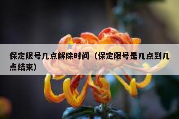 保定限号几点解除时间（保定限号是几点到几点结束） 第1张
