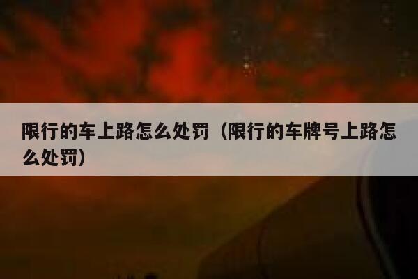 限行的车上路怎么处罚（限行的车牌号上路怎么处罚） 第1张
