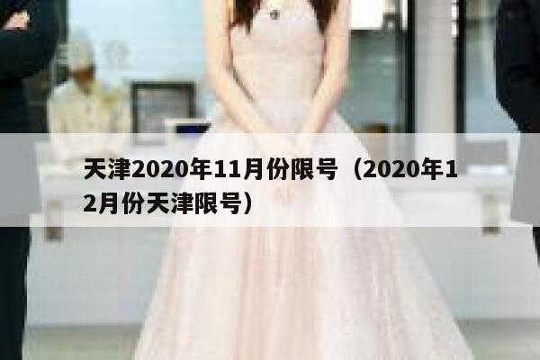 天津2020年11月份限号（2020年12月份天津限号） 第1张