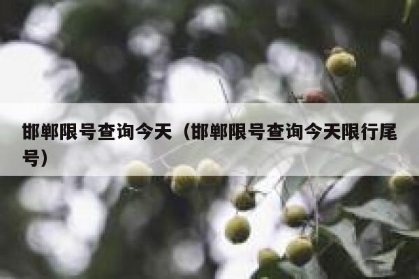 邯郸限号查询今天（邯郸限号查询今天限行尾号） 第1张
