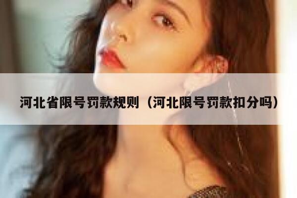 河北省限号罚款规则（河北限号罚款扣分吗） 第1张
