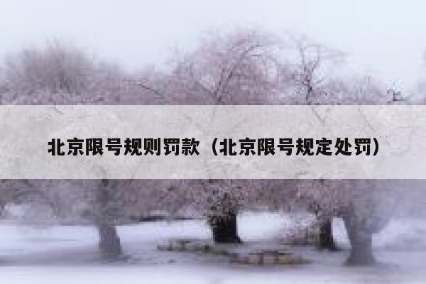 北京限号规则罚款（北京限号规定处罚） 第1张