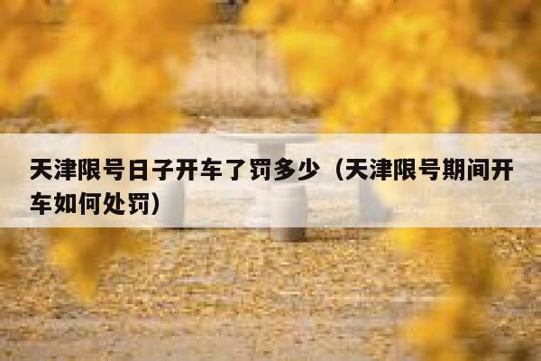 天津限号日子开车了罚多少（天津限号期间开车如何处罚） 第1张