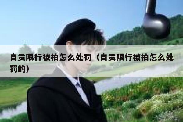 自贡限行被拍怎么处罚（自贡限行被拍怎么处罚的） 第1张