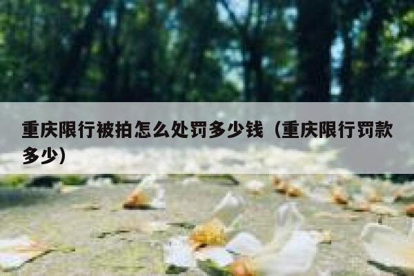 重庆限行被拍怎么处罚多少钱（重庆限行罚款多少） 第1张
