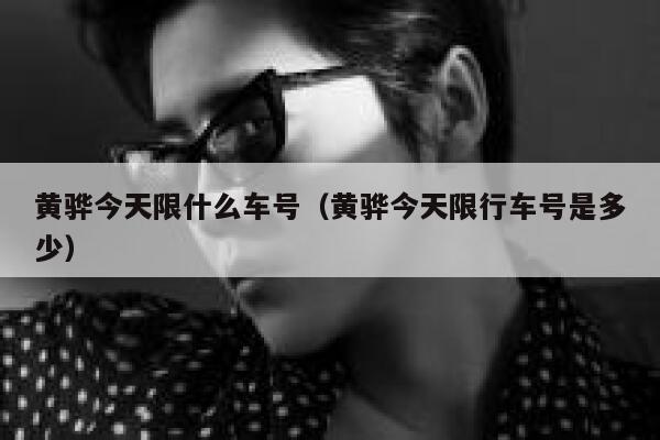 黄骅今天限什么车号（黄骅今天限行车号是多少） 第1张