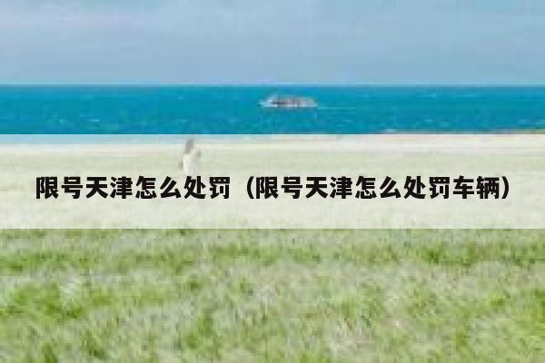 限号天津怎么处罚（限号天津怎么处罚车辆） 第1张