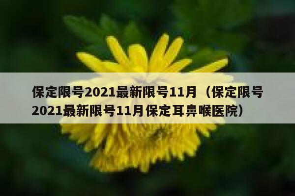 保定限号2021最新限号11月（保定限号2021最新限号11月保定耳鼻喉医院） 第1张