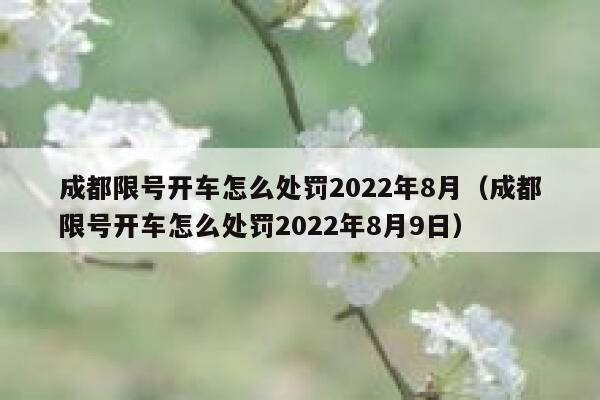 成都限号开车怎么处罚2022年8月（成都限号开车怎么处罚2022年8月9日） 第1张