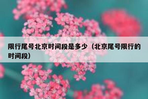 限行尾号北京时间段是多少（北京尾号限行的时间段） 第1张