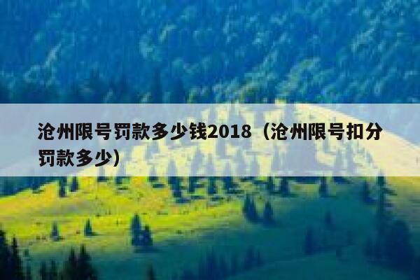 沧州限号罚款多少钱2018（沧州限号扣分罚款多少） 第1张
