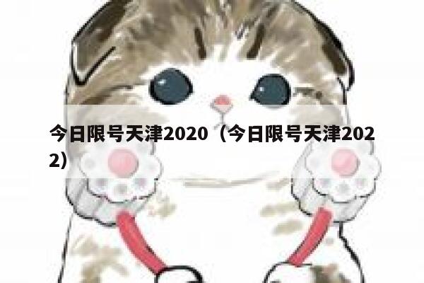 今日限号天津2020（今日限号天津2022） 第1张