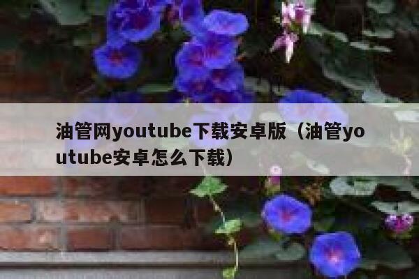 油管网youtube下载安卓版（油管youtube安卓怎么下载） 第1张