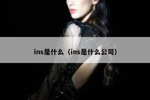 ins是什么（ins是什么公司） 第1张